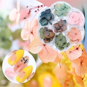 Popularni Japanski set za nokte sa suhim cvijećem, pribor za nokte, Besmrtna Cvjetni naljepnice za nokte
